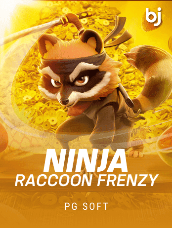 Ninja Raccoon Frenzypng icon